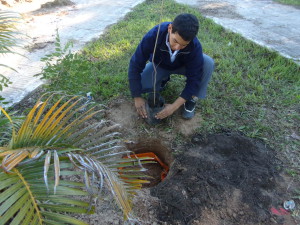 Alumno del Colegio  Pedro Leconte plantando  y apadrinando un árbol en Santa Ana 