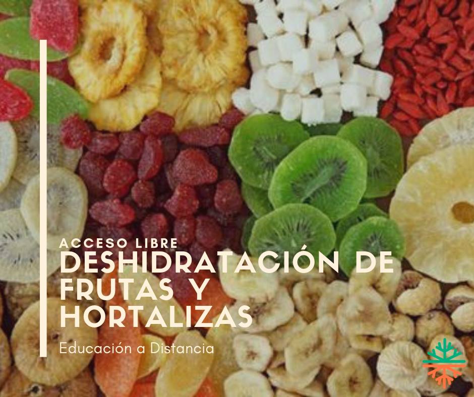 Curso online  «Deshidratación de frutas y hortalizas»