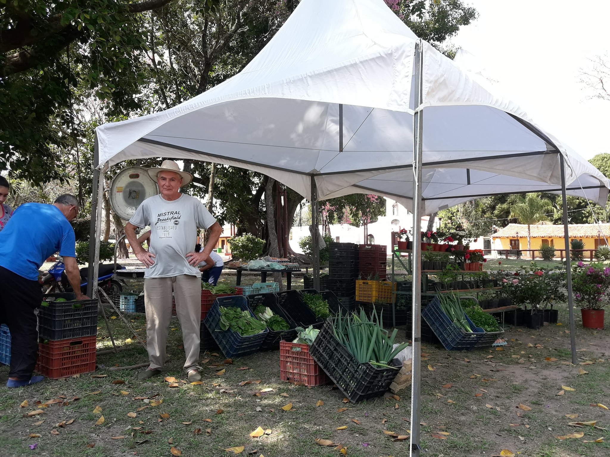 Vuelve la feria de productores a la plaza San Martín