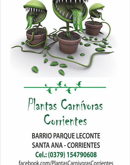 Plantas Carnívoras en Santa Ana